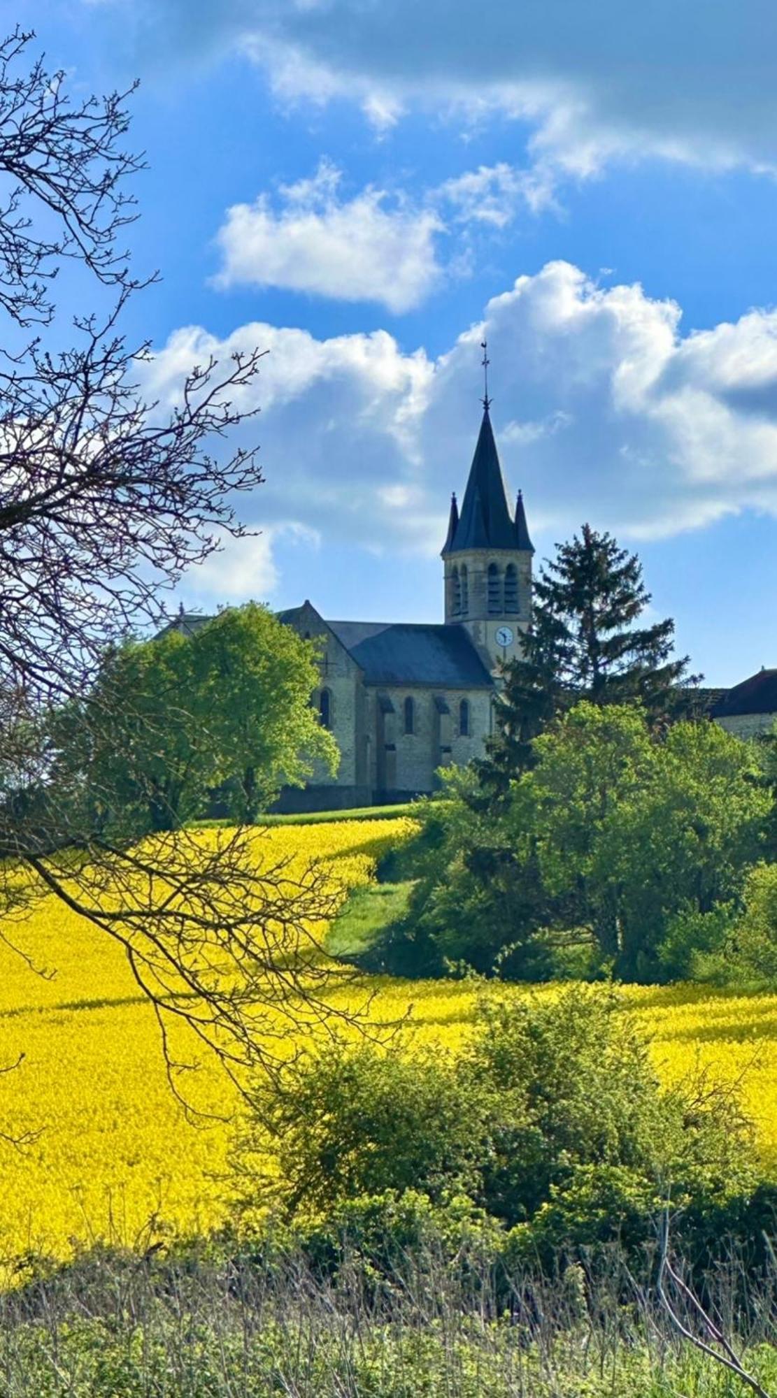 Gigny  La Cour Des Delices B&B 외부 사진